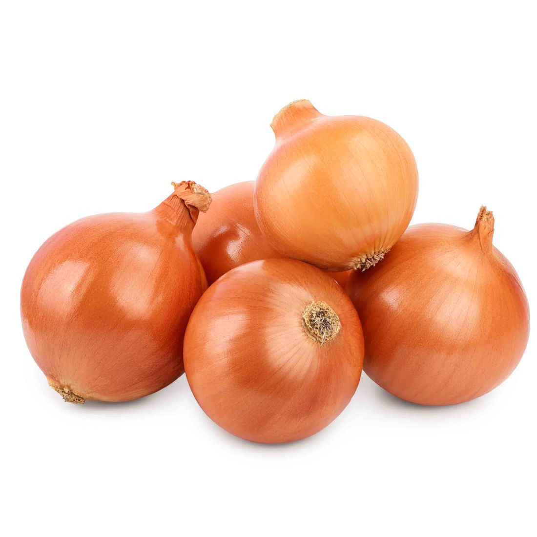 Brown Onion